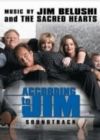 ��� ������ ���� 5 ����� / According to Jim 5 Season (1DVD-Mpeg4)