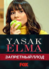 ��������� ���� / Yasak Elma ����� 2 (104 �����) (15-DVD-������)