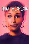����� ������ (���������) (1-4 ������: 1-34 ����� �� 34) / Insecure / 2016-2020 (3-DVD-Mpeg4)