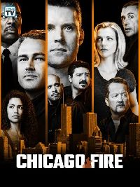 �������� ������ / ������ � ���� / Chicago Fire ����� 5 (4DVD-Mpeg4)