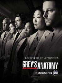 �������� ������� / Grey's Anatomy ����� 10 (3DVD-Mpeg4)
