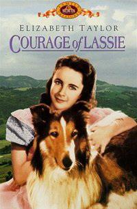 ��������� ����� / Courage of Lassie / 1946