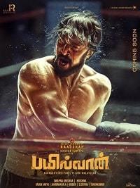 ������� / Pailwaan / 2019