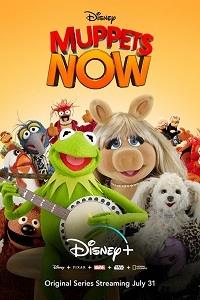 ������� ������� (1 �����: 1-6 ����� �� 6) / Muppets Now / 2020 (DVD-Mpeg4)